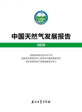 2020中國天然氣發(fā)展報告（含2017、2018、2019、2020）